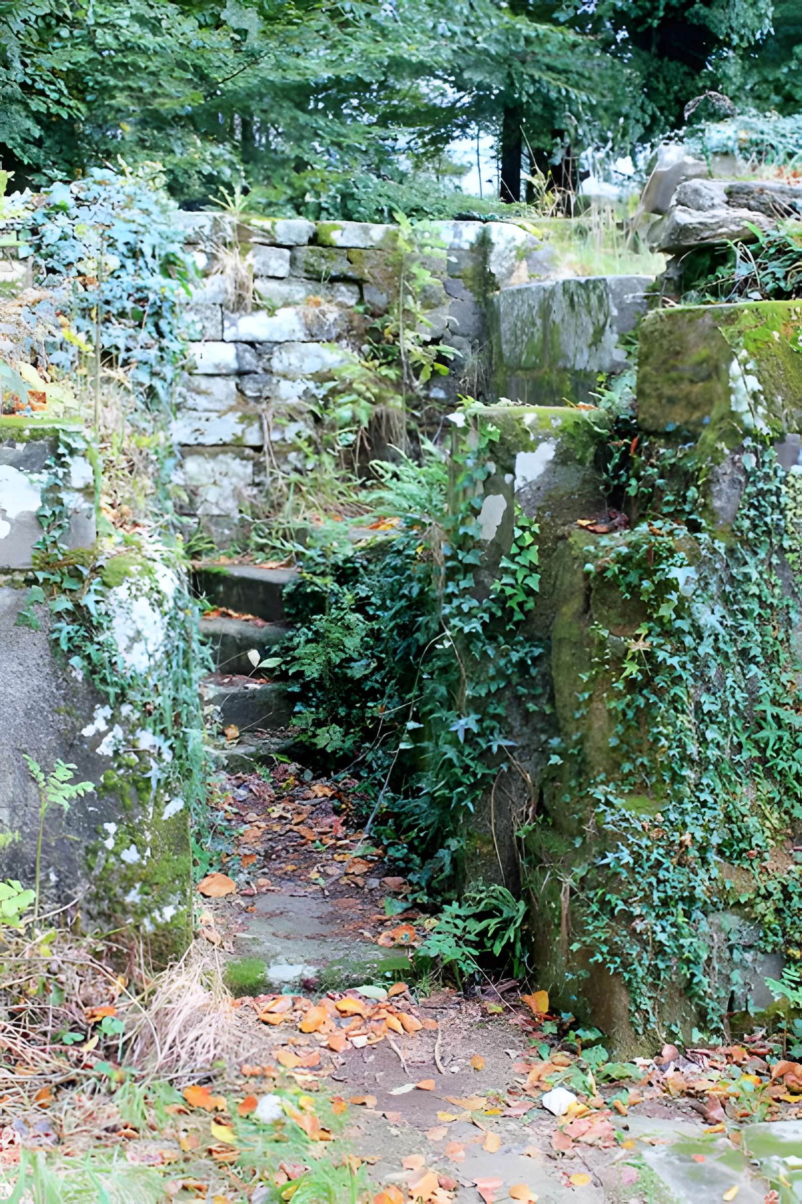 Chapelle Notre-Dame du Burgo à Grand-Champ