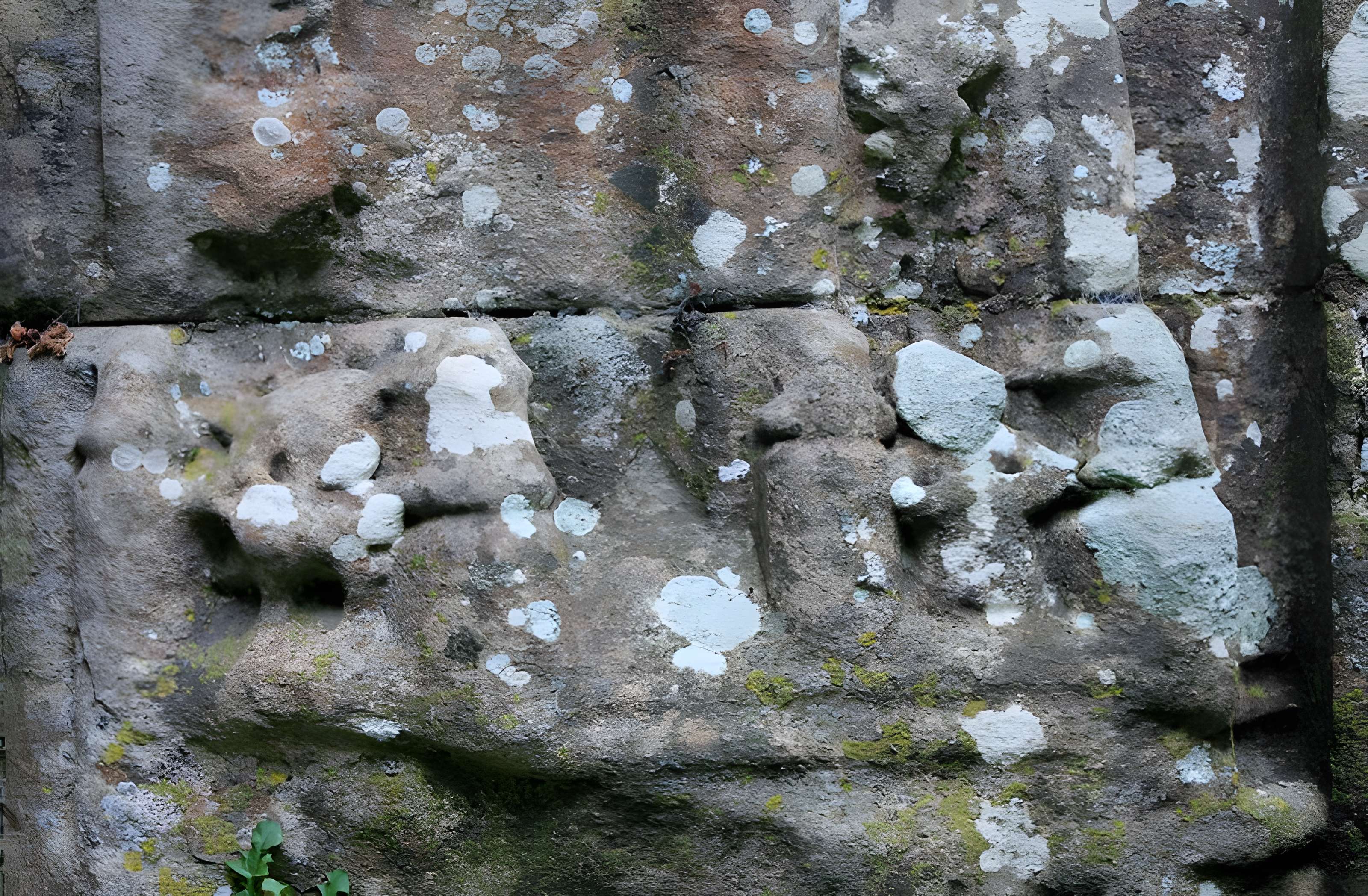 Chapelle Notre-Dame du Burgo à Grand-Champ