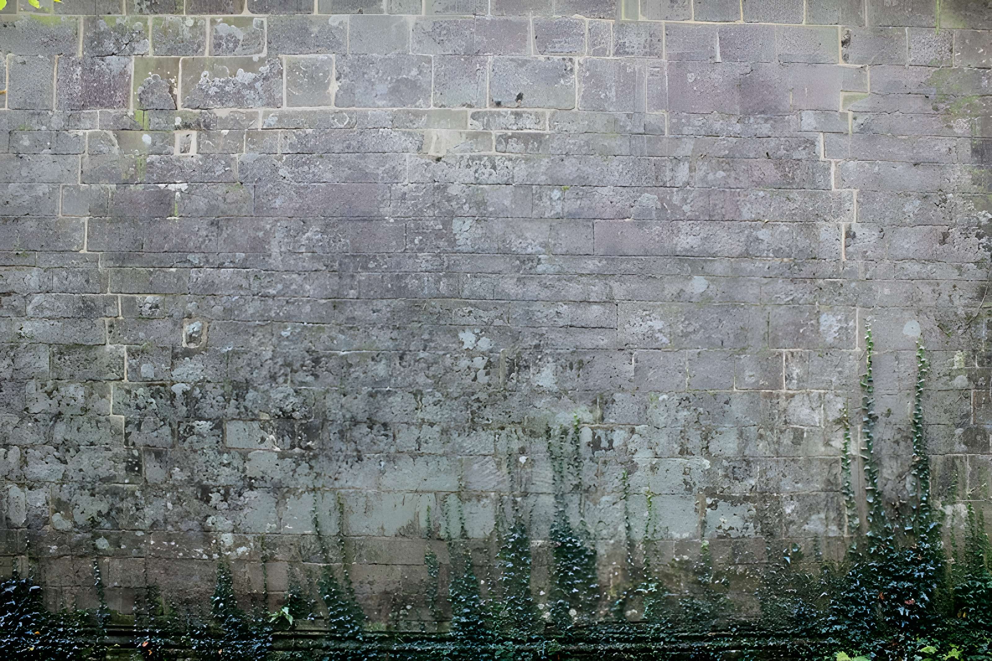 Chapelle Notre-Dame du Burgo à Grand-Champ