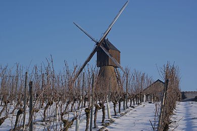 Photo de Moulin à vent de la Pinsonnerie à Faye-d'Anjou