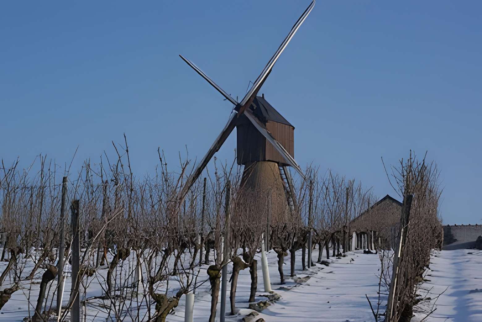 Moulin à vent de la Pinsonnerie à Faye-d'Anjou 