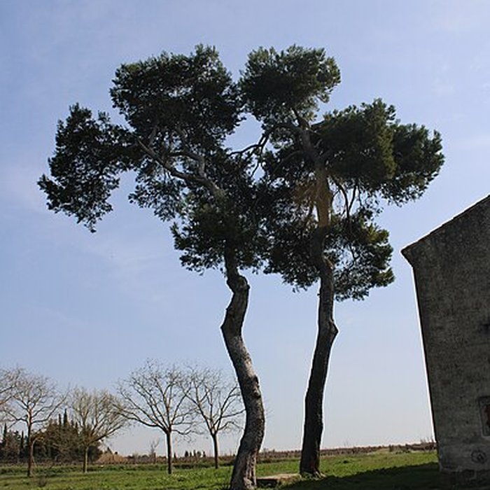 Photo de Chapelle Notre-Dame-de-la-Miséricorde de Nissan-lez-Enserune
