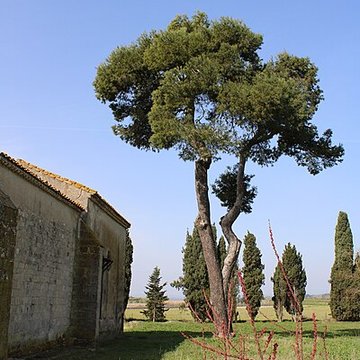 Chapelle Notre-Dame-de-la-Miséricorde de Nissan-lez-Enserune