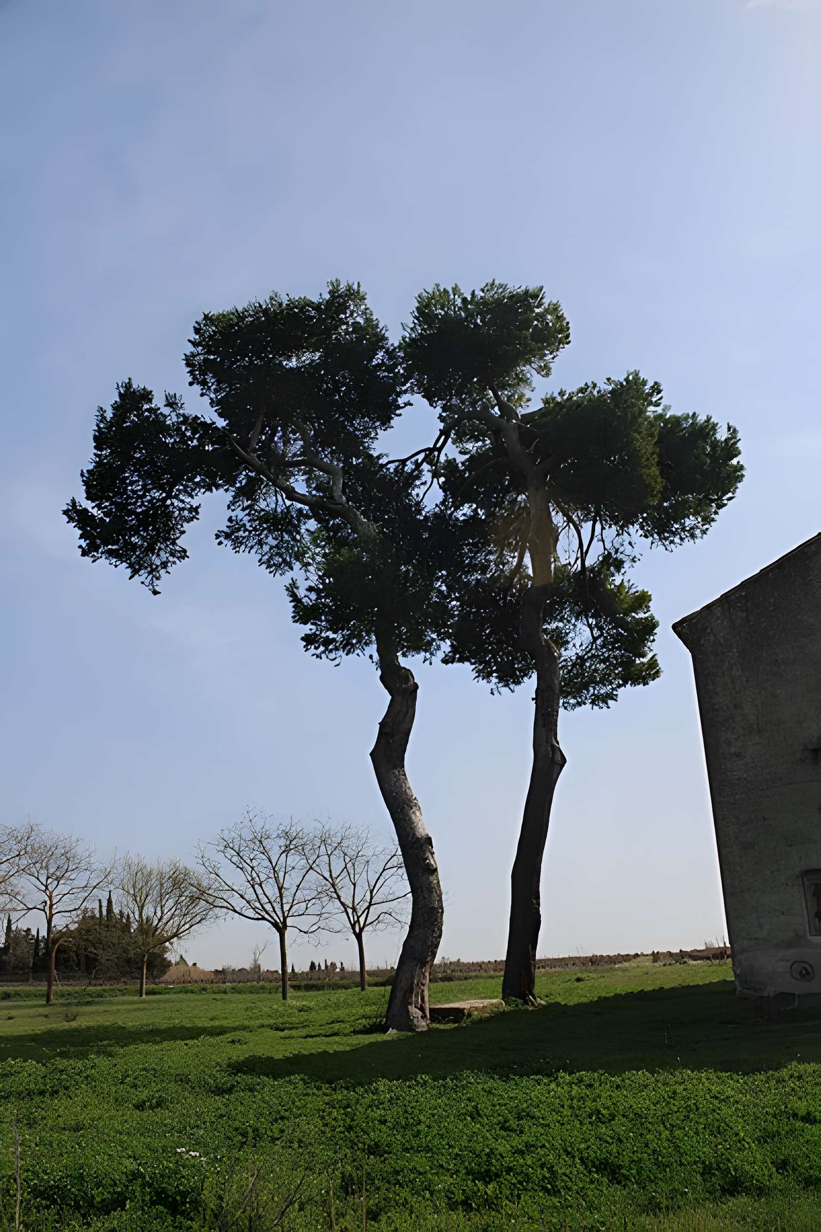 Chapelle Notre-Dame-de-la-Miséricorde de Nissan-lez-Enserune