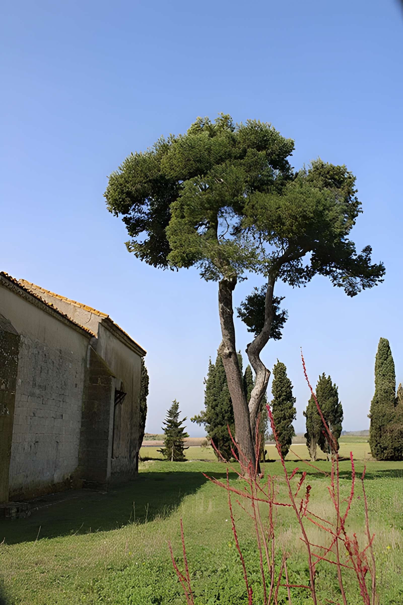 Chapelle Notre-Dame-de-la-Miséricorde de Nissan-lez-Enserune