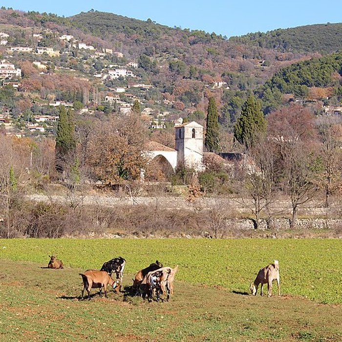 Photo de Chapelle Notre-Dame-de-lOrmeau de Seillans