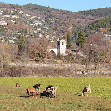 Chapelle Notre-Dame-de-lOrmeau de Seillans