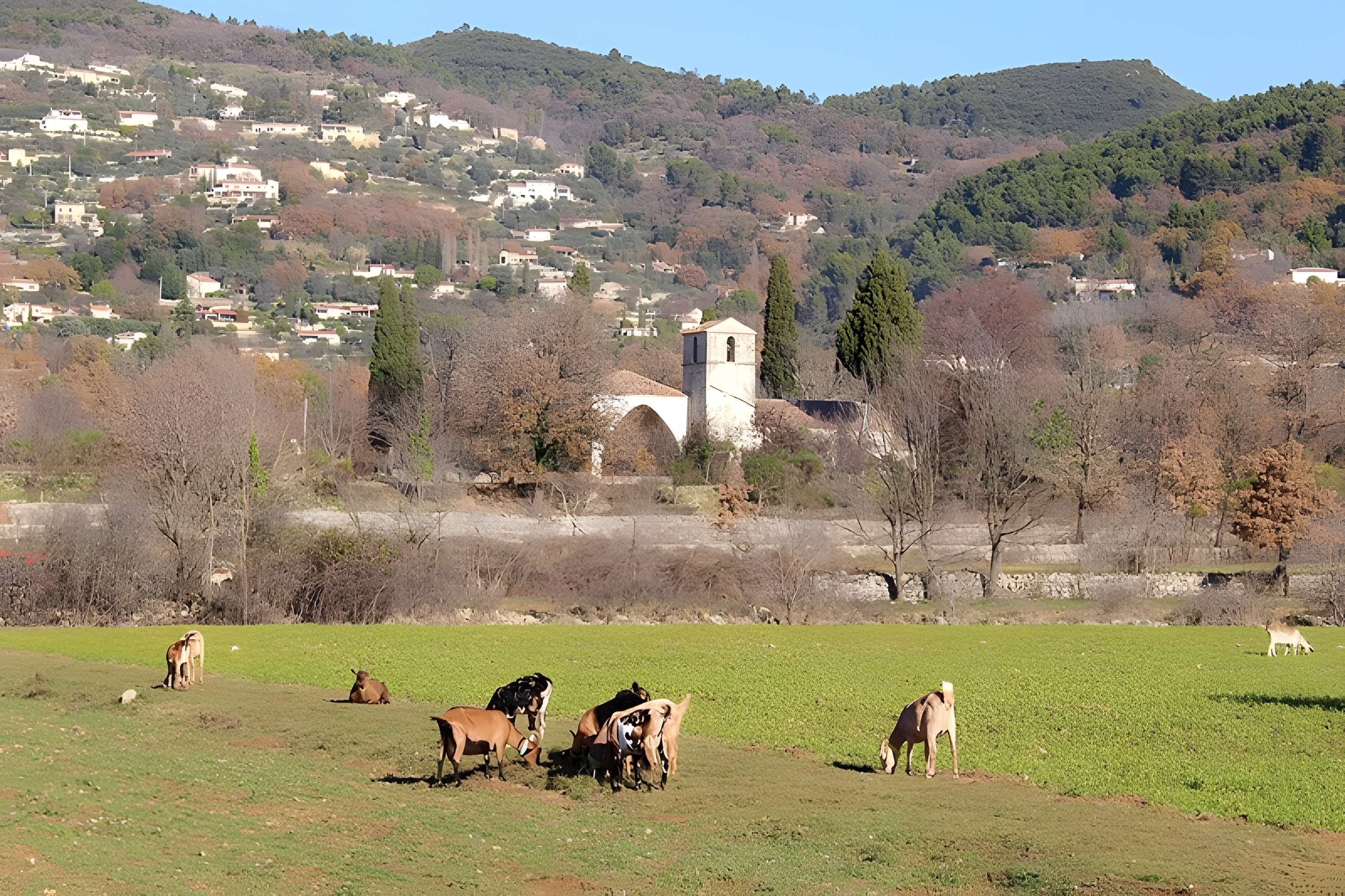 Chapelle Notre-Dame-de-l'Ormeau de Seillans