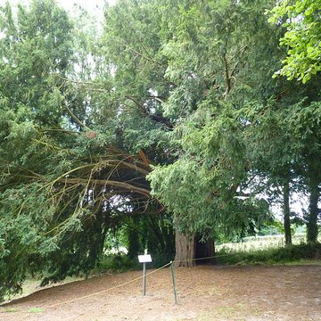 Chapelle Notre-Dame-de-Pitié de Boqueho