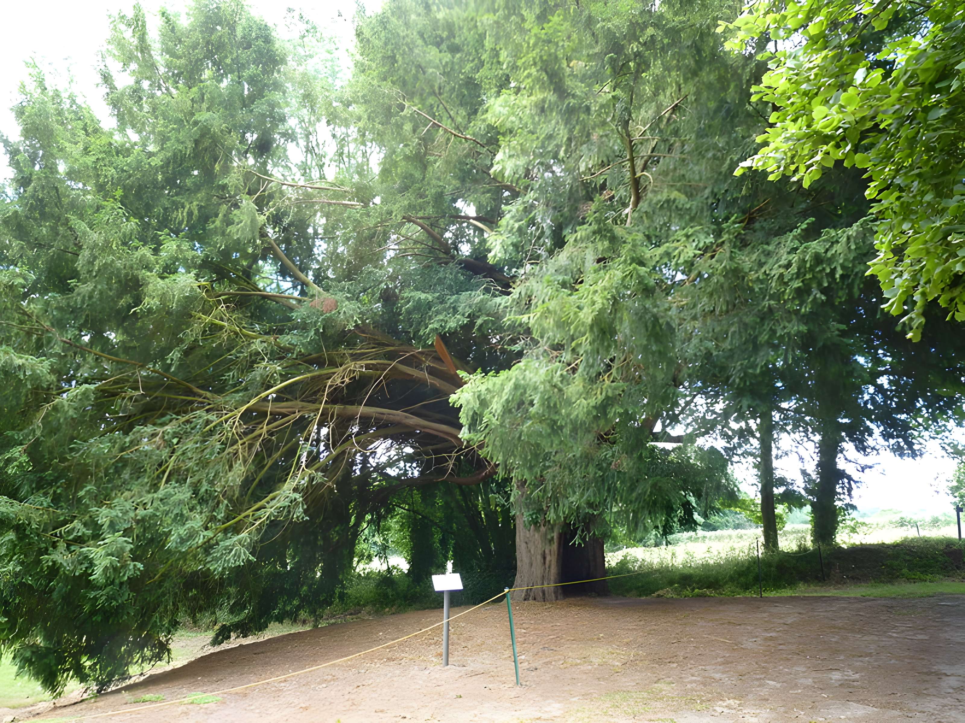 Chapelle Notre-Dame-de-Pitié de Boqueho