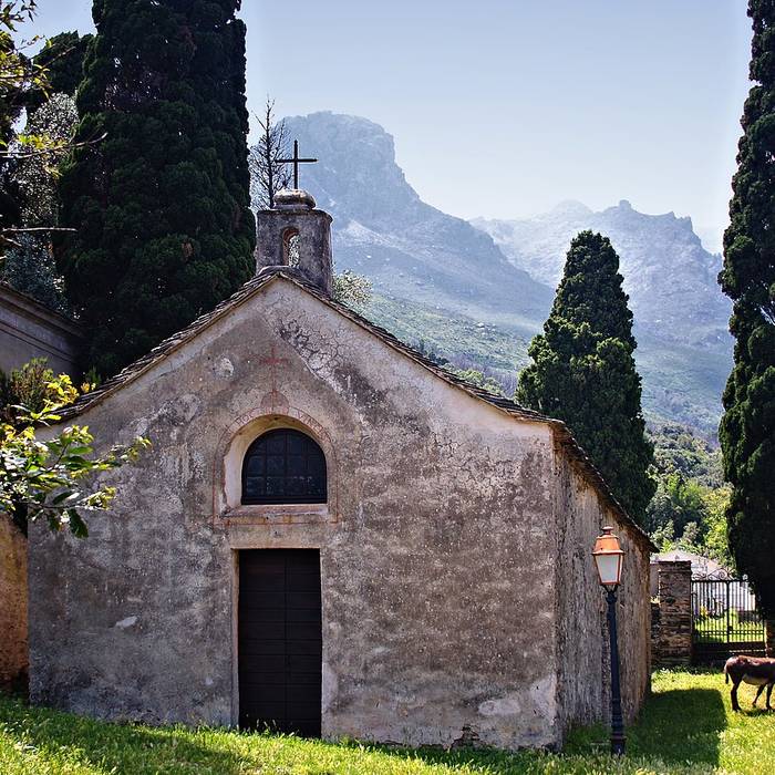 Photo de Chapelle Pisane attenant à léglise Santa Maria Assunta à Brando