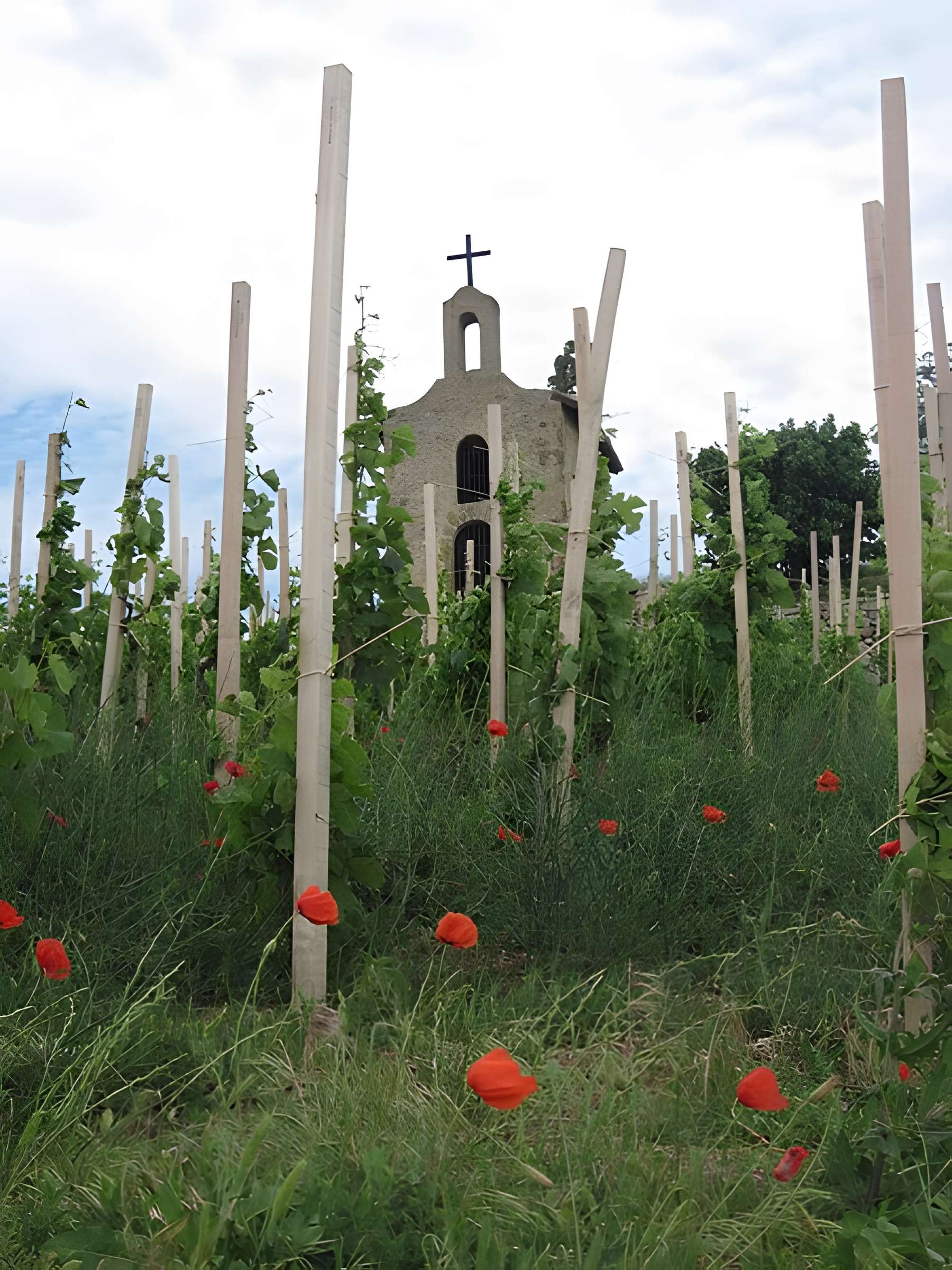 Chapelle Saint-Christophe de Tain-l'Hermitage