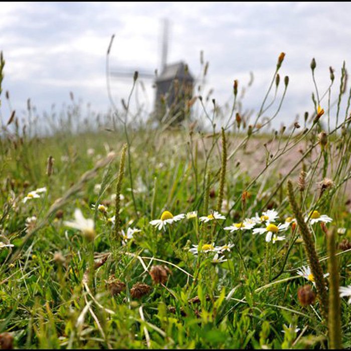 Photo de Moulin de Valmy