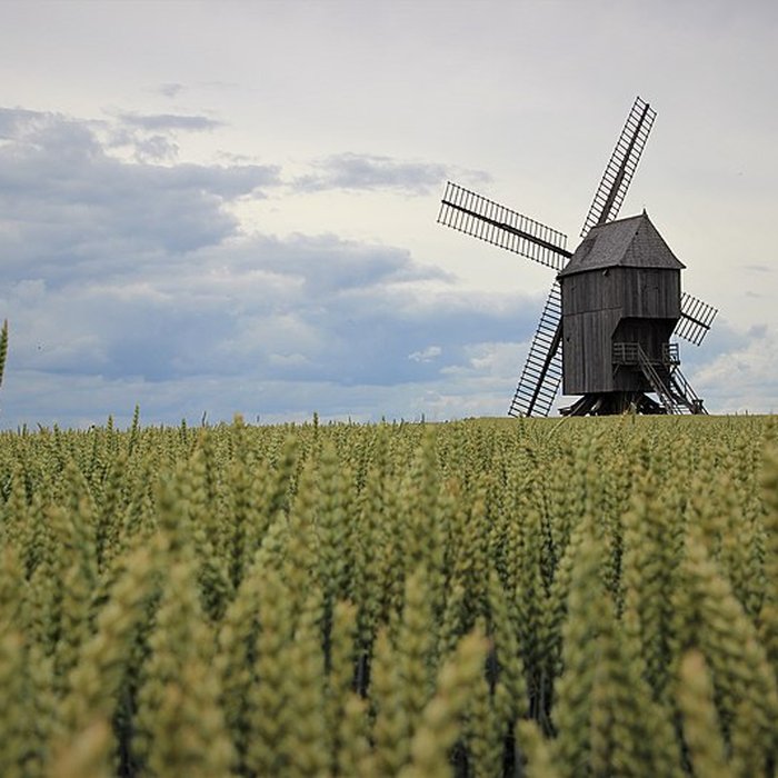 Photo de Moulin de Valmy