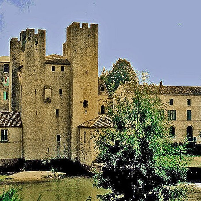 Photo de Moulin des Tours de Barbaste