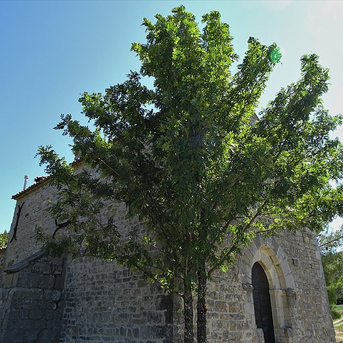 Photo de Chapelle Sainte-Anastase de Sainte-Jalle