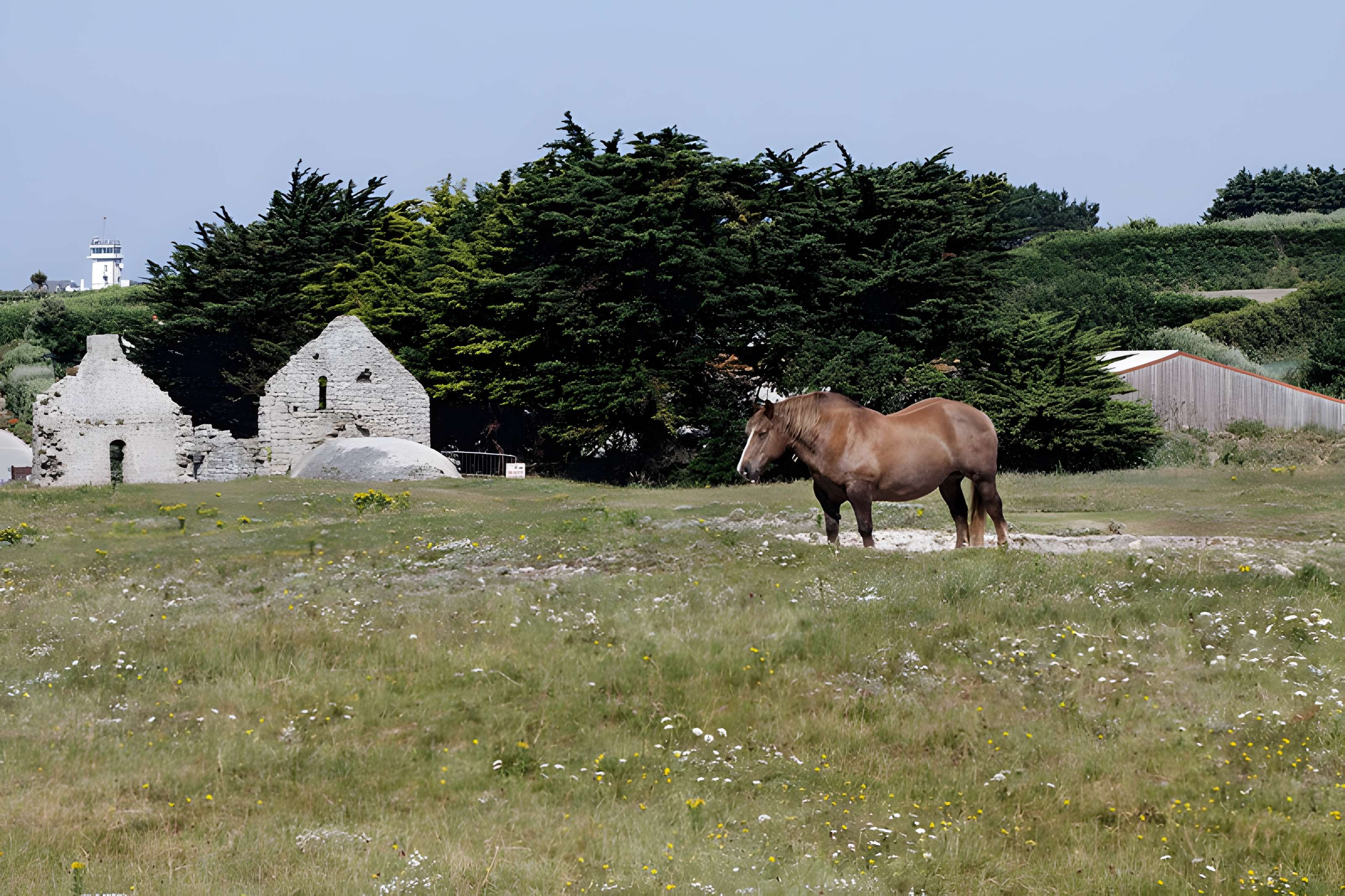 Chapelle Sainte-Anne de l'Île-de-Batz