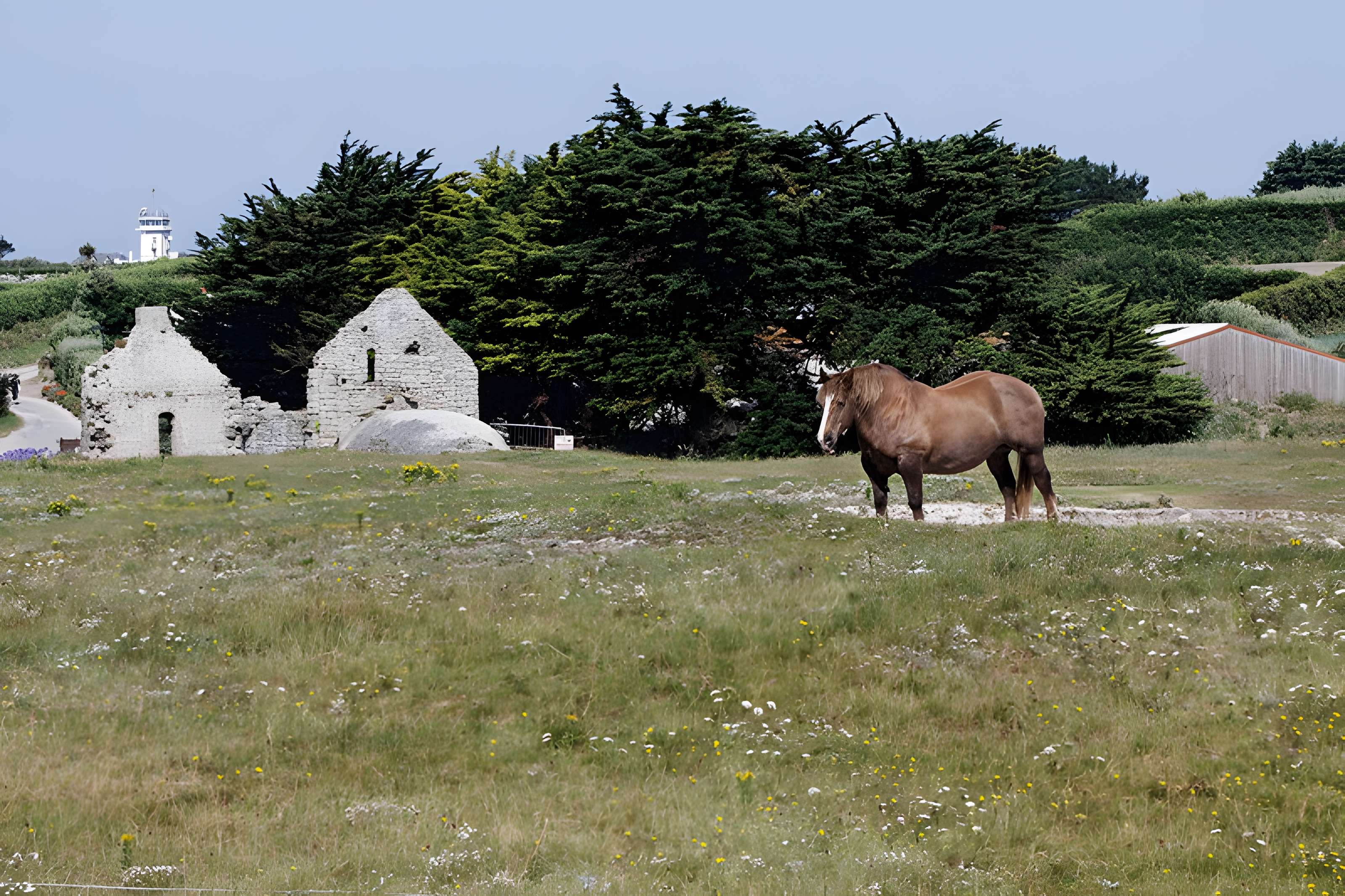 Chapelle Sainte-Anne de l'Île-de-Batz