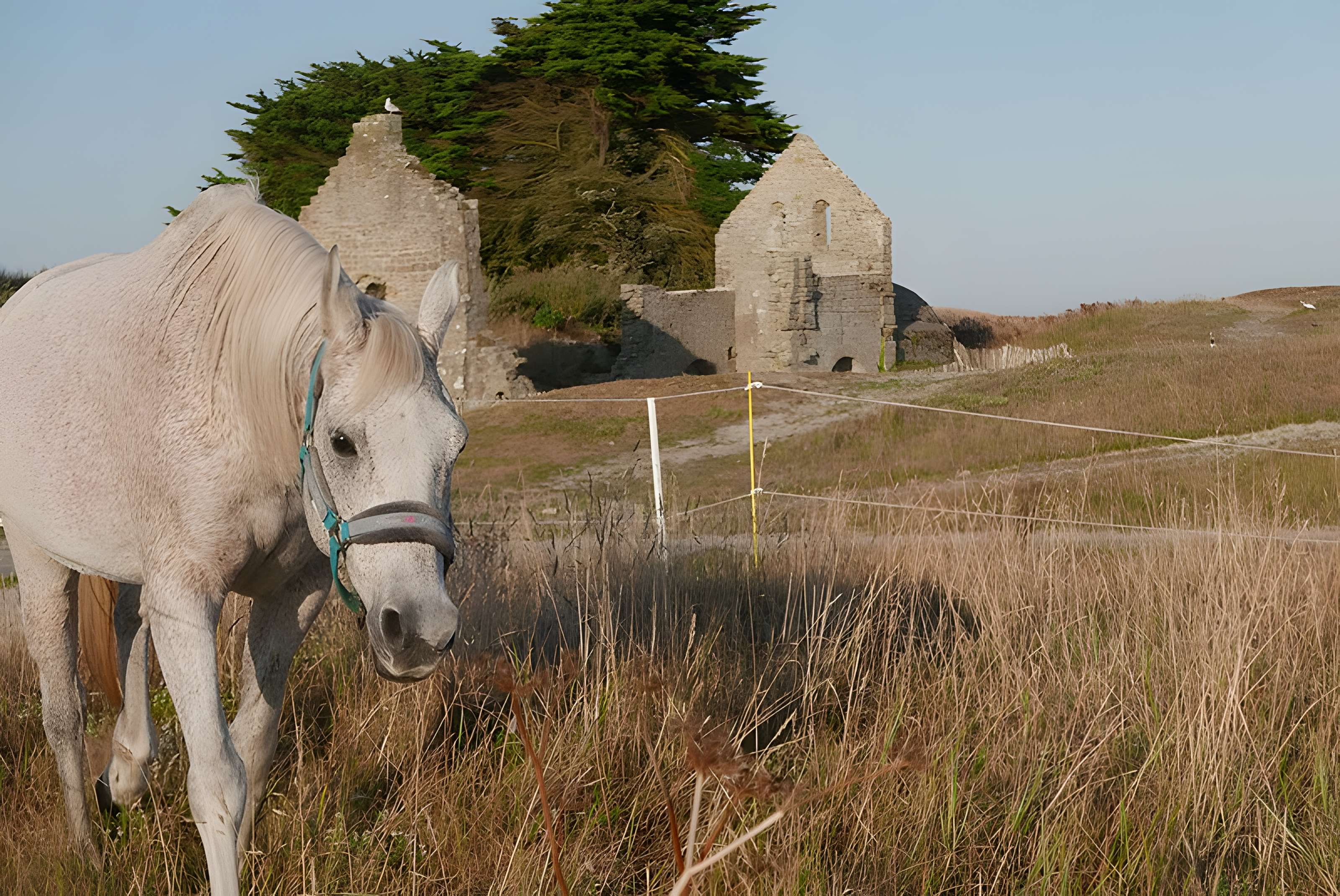Chapelle Sainte-Anne de l'Île-de-Batz