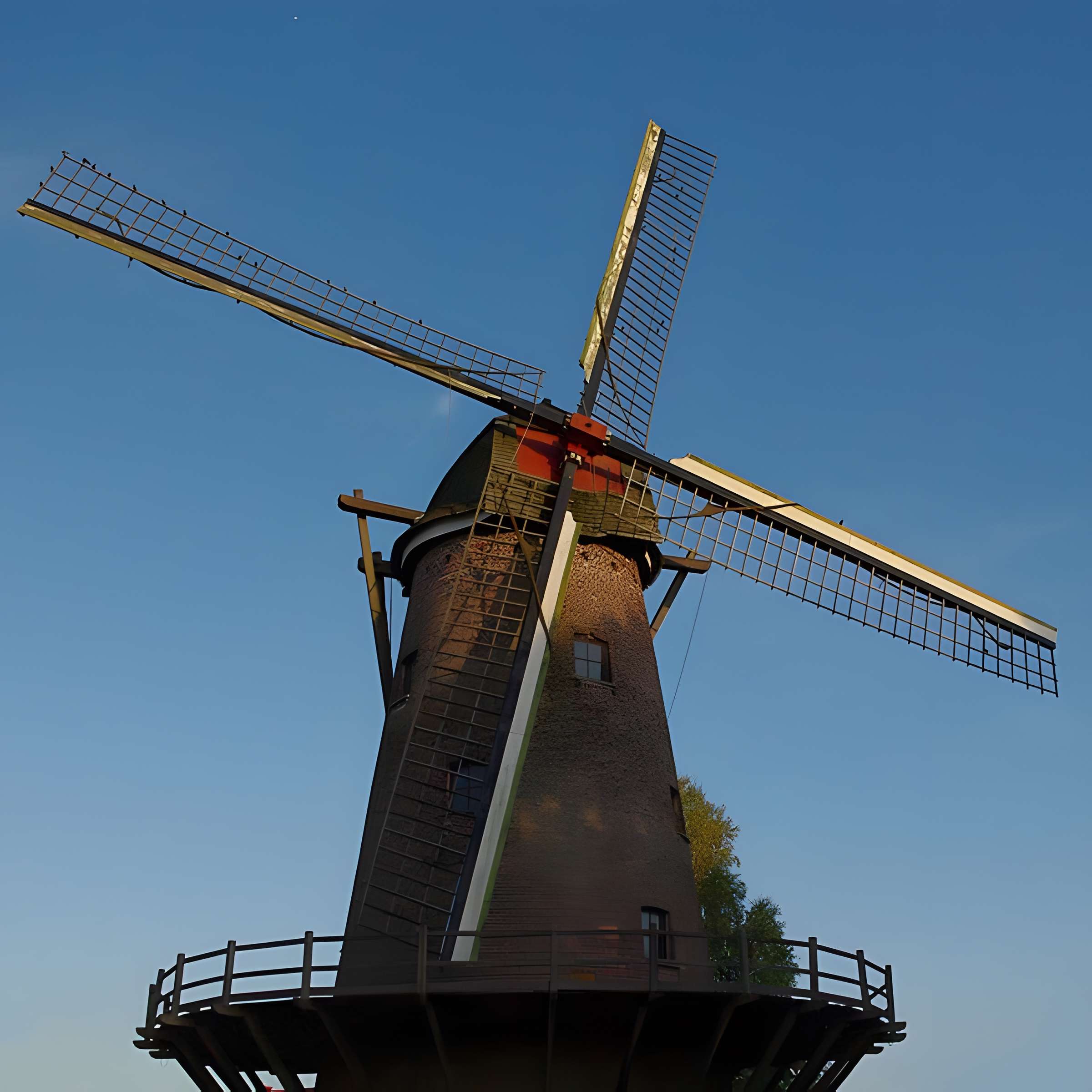 Moulin d'Halluin à Wormhout