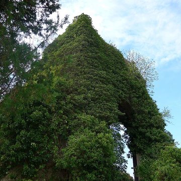 Chapelle Sainte-Barbara dAllan