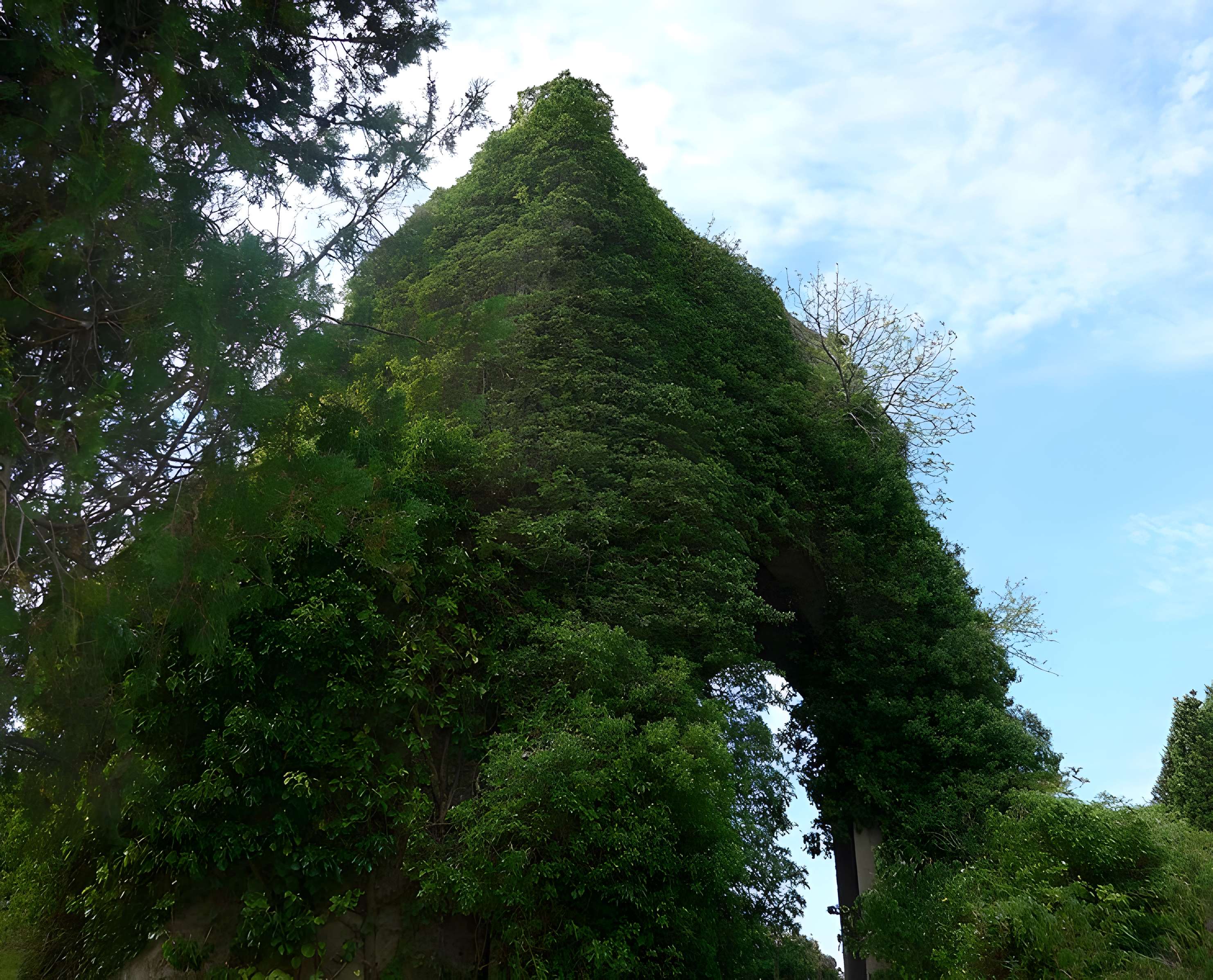 Chapelle Sainte-Barbara d'Allan