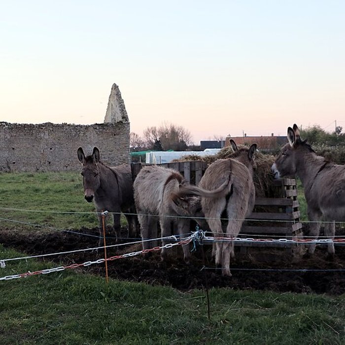 Photo de Chapelle Sainte-Ergoueffe de Surtainville