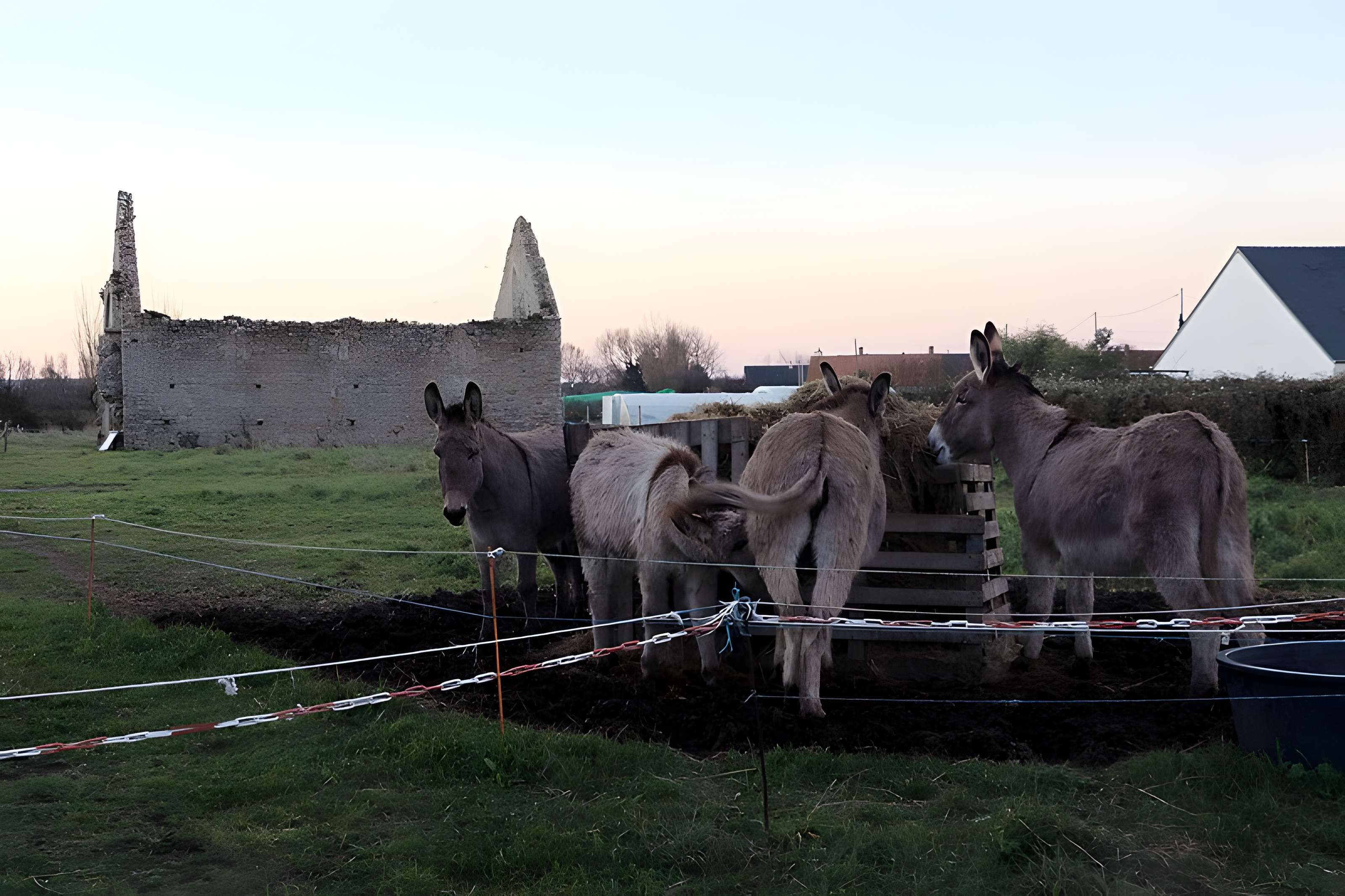 Chapelle Sainte-Ergoueffe de Surtainville
