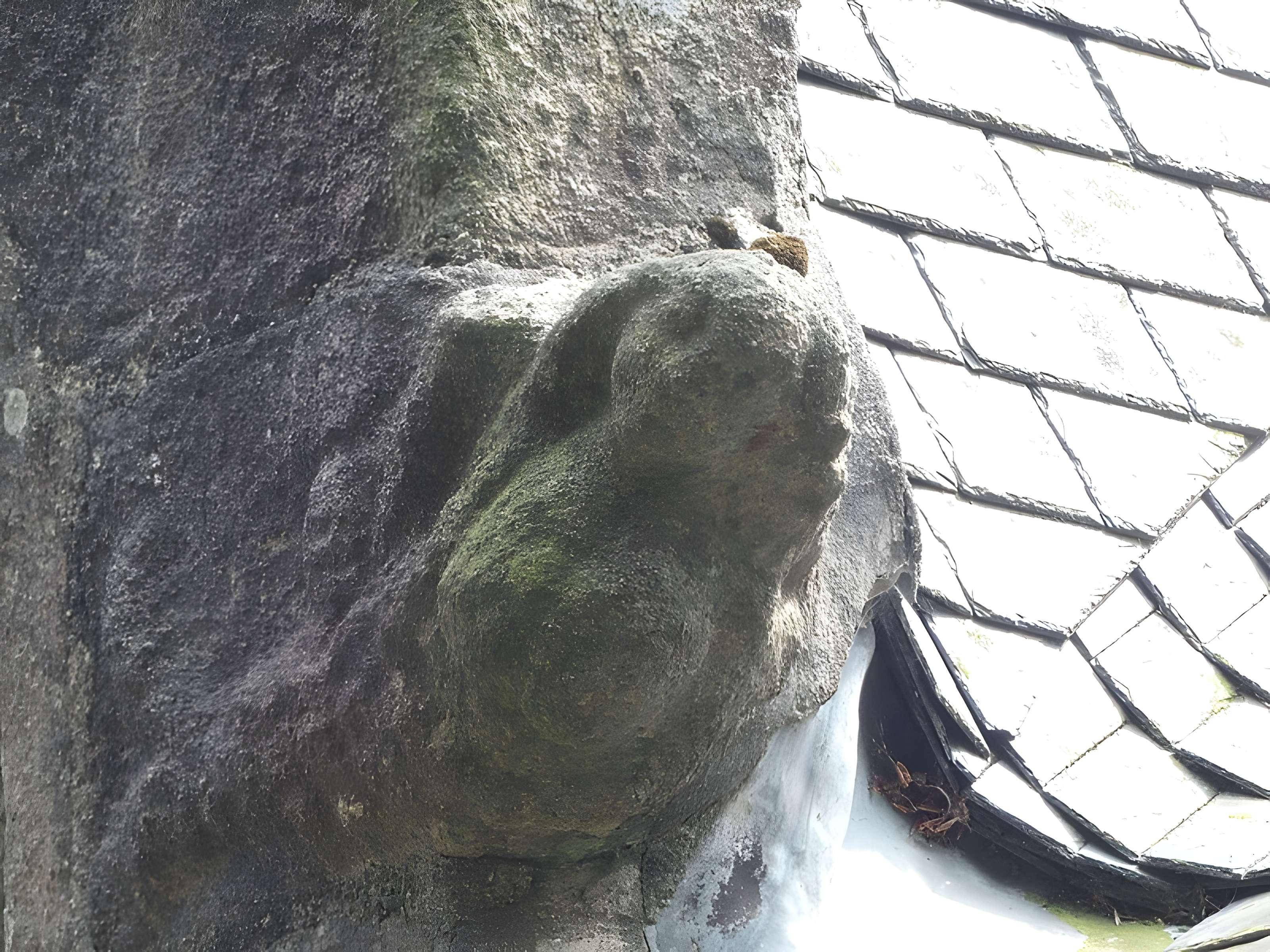 Chapelle Saint-Éloy de Ploudaniel