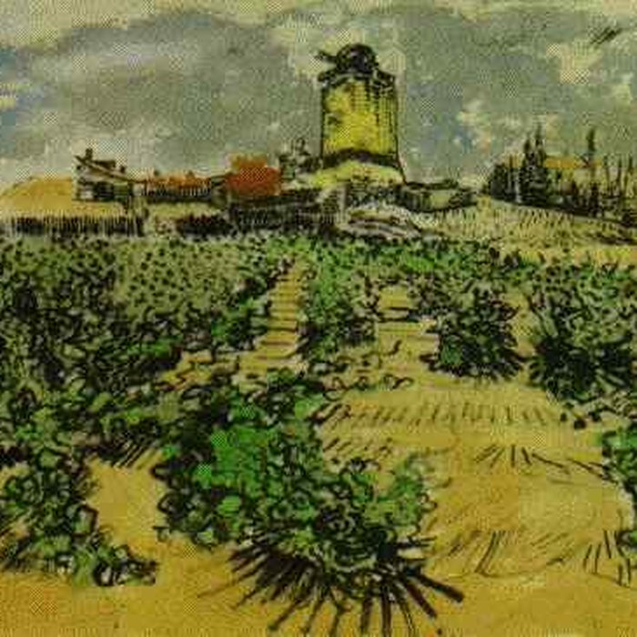 Photo de Moulin Saint-Pierre dit Le Moulin dAlphonse Daudet