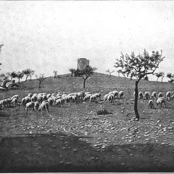 Photo de Moulin Saint-Pierre dit Le Moulin dAlphonse Daudet