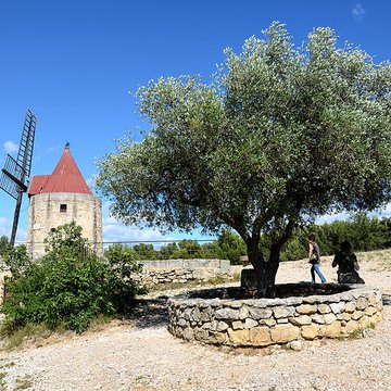 Moulin Saint-Pierre dit Le Moulin dAlphonse Daudet