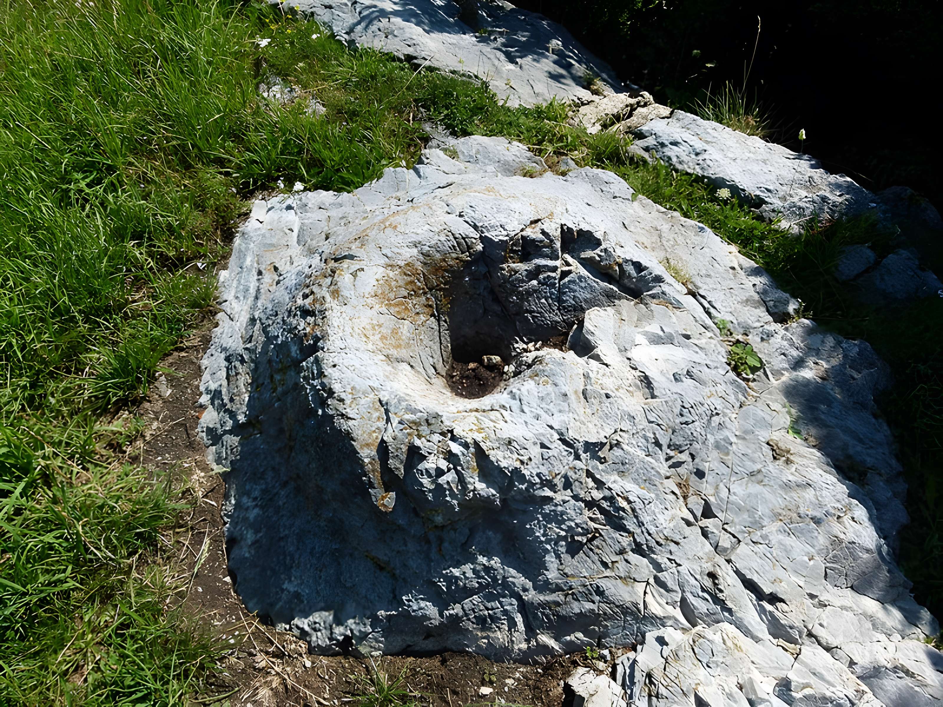 Chapelle Sainte-Marguerite et Hospice Sainte-Marie ou Notre-Dame du col d'Ares