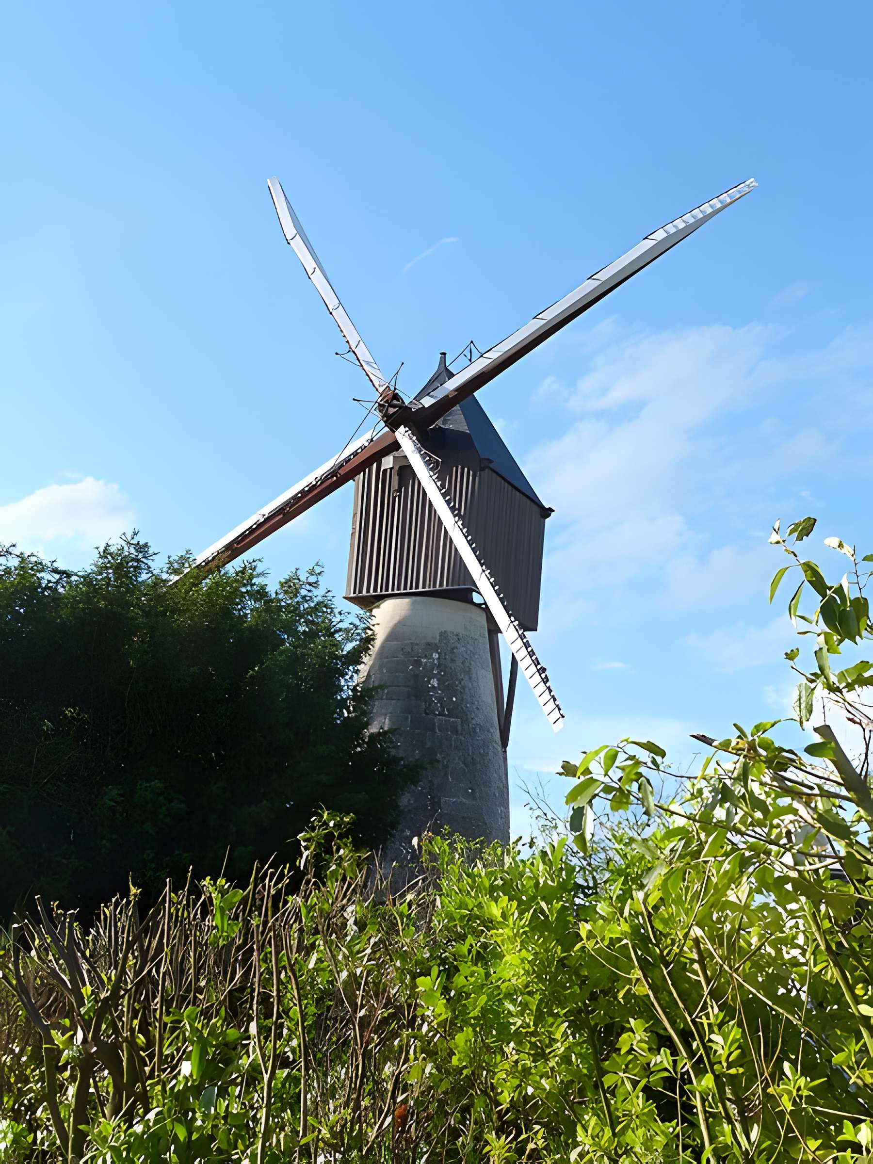 Moulin-cavier de Gasté à Grézillé