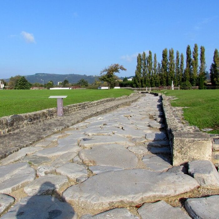 Photo de Site gallo-romain de Saint-Romain-en-Gal