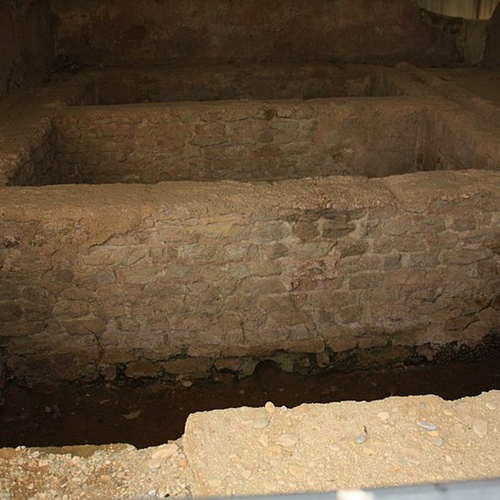 Photo de Site gallo-romain de Saint-Romain-en-Gal