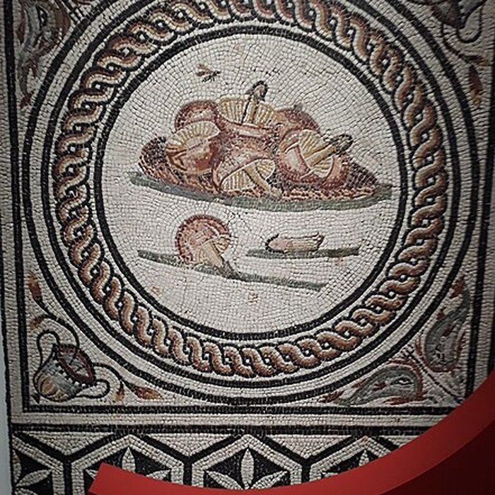 Photo de Site gallo-romain de Saint-Romain-en-Gal