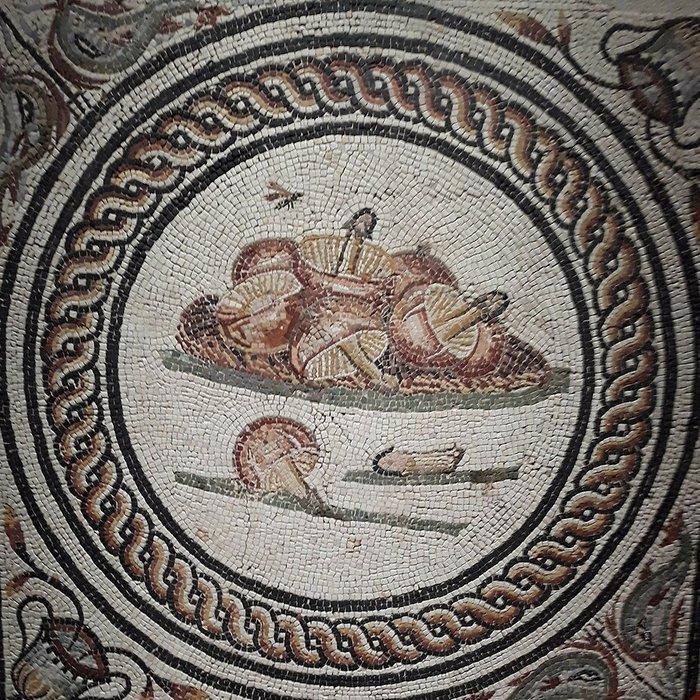 Photo de Site gallo-romain de Saint-Romain-en-Gal