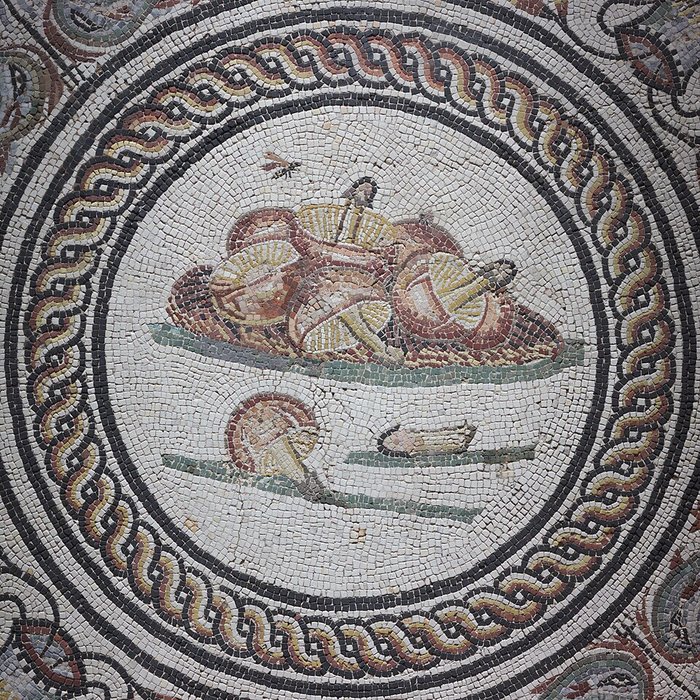 Photo de Site gallo-romain de Saint-Romain-en-Gal