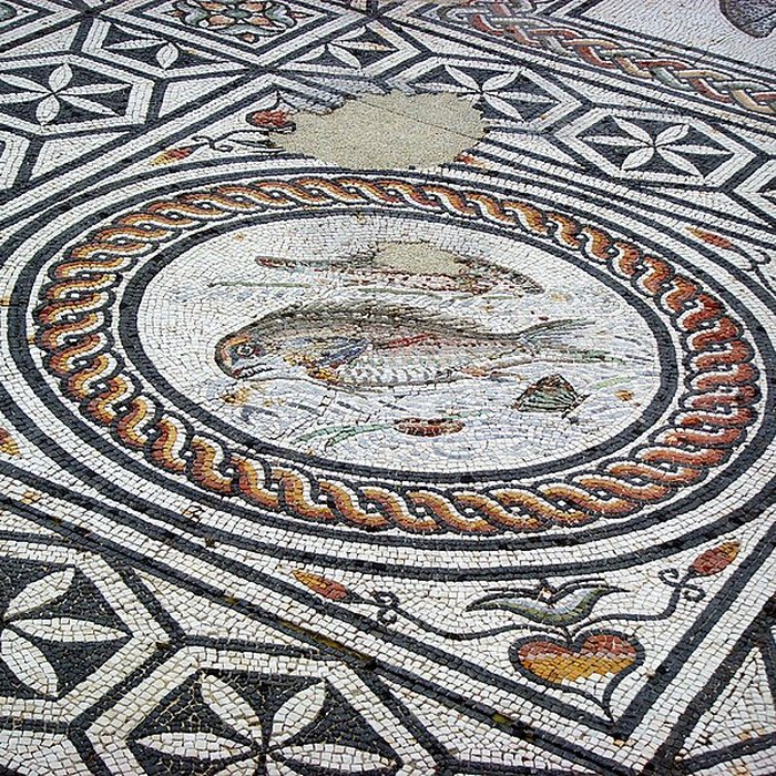 Photo de Site gallo-romain de Saint-Romain-en-Gal