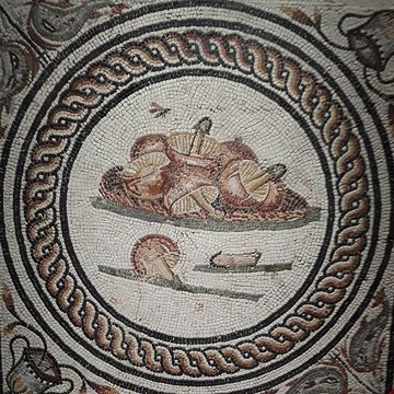 Site gallo-romain de Saint-Romain-en-Gal