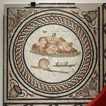 Site gallo-romain de Saint-Romain-en-Gal