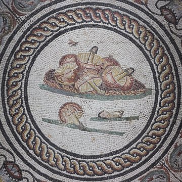 Site gallo-romain de Saint-Romain-en-Gal