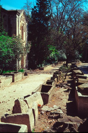 Photo de Nécropole des Alyscamps et Église Saint-Honorat à Arles