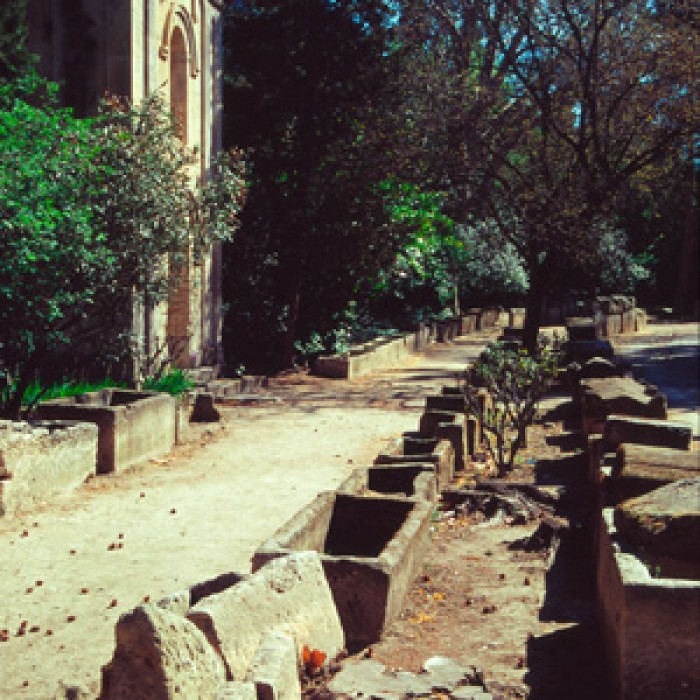 Photo de Nécropole des Alyscamps et Église Saint-Honorat à Arles