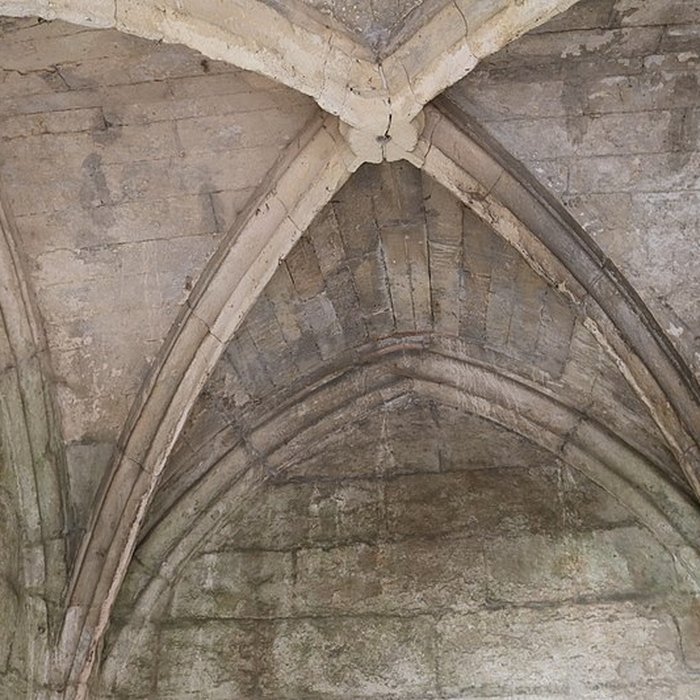 Photo de Nécropole des Alyscamps et Église Saint-Honorat à Arles