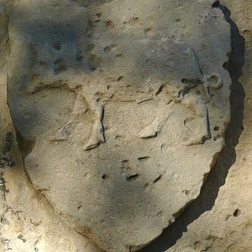 Nécropole des Alyscamps et Église Saint-Honorat à Arles