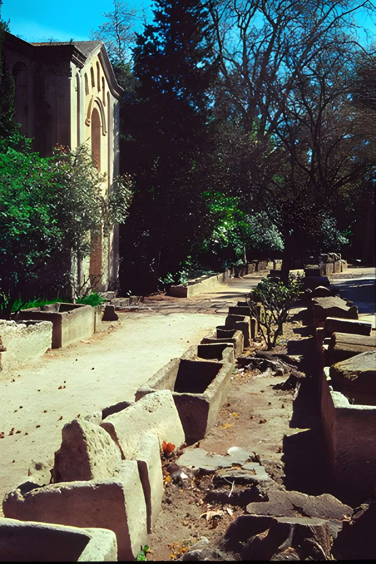 Nécropole des Alyscamps à Arles 