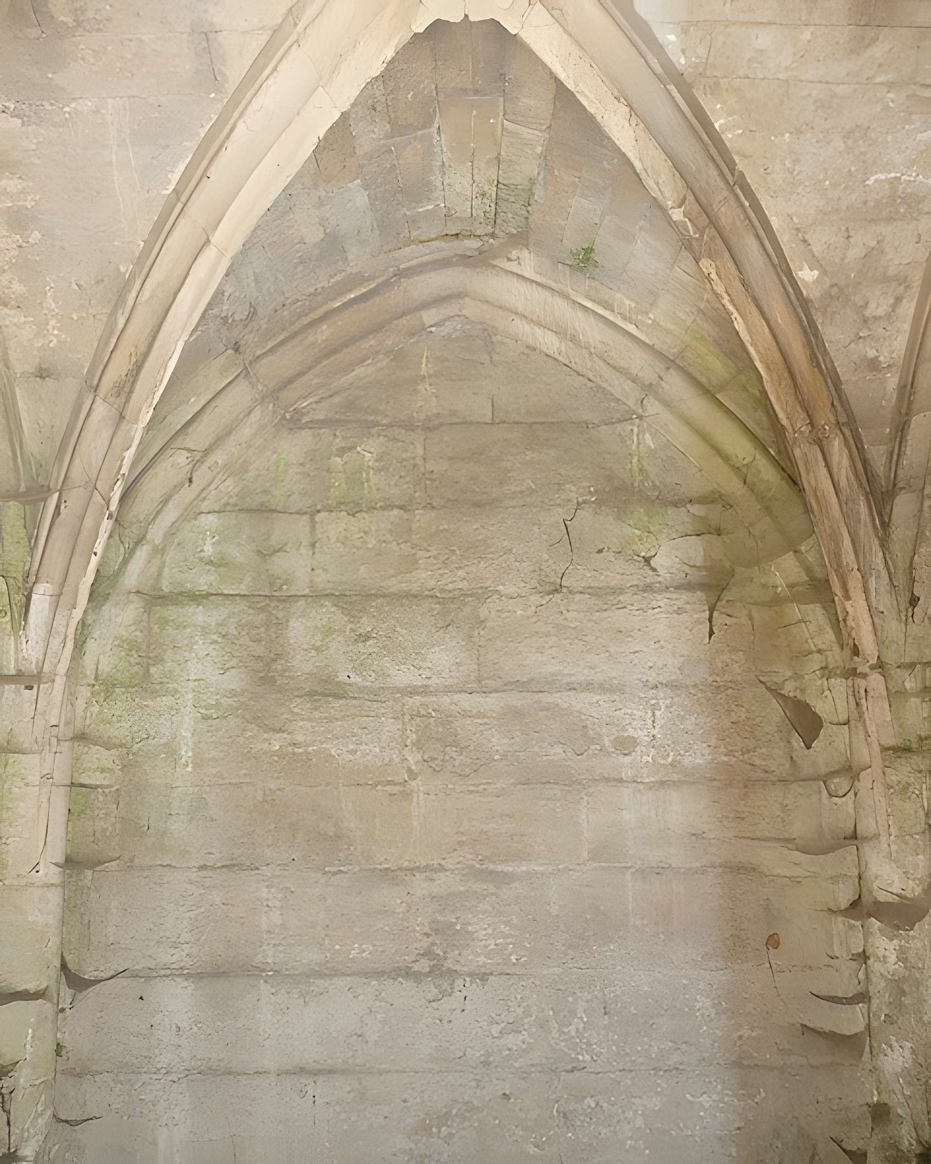 Nécropole des Alyscamps et Église Saint-Honorat à Arles