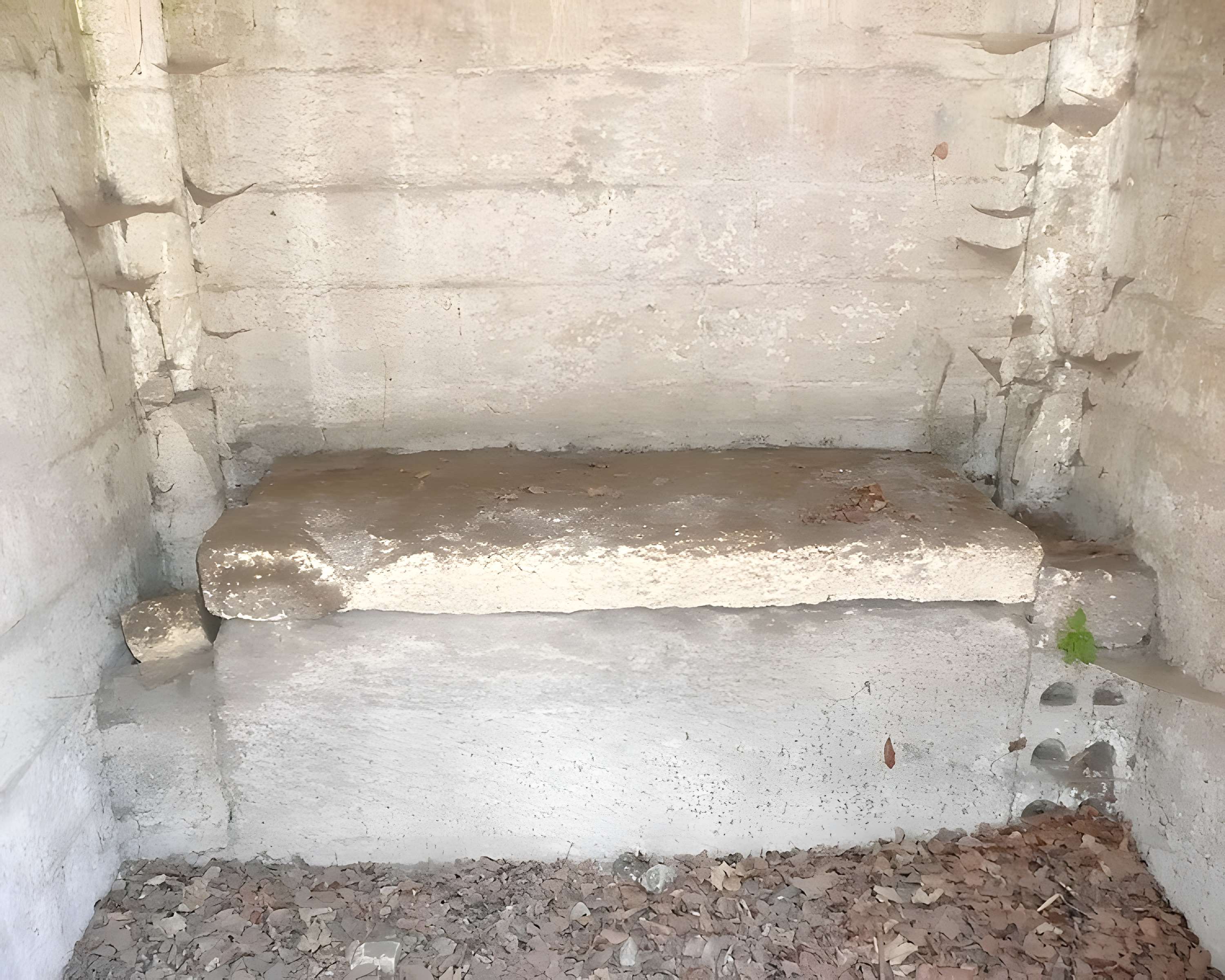 Nécropole des Alyscamps et Église Saint-Honorat à Arles